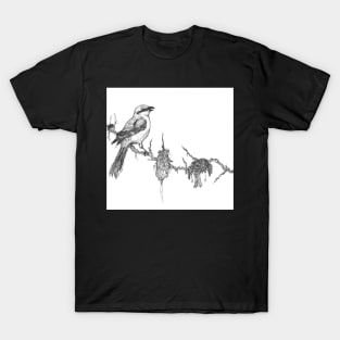 Shrike T-Shirt